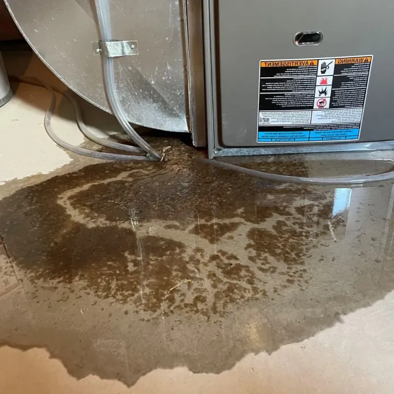 Pipe Burst and Leak Restoration in Clark County, WA